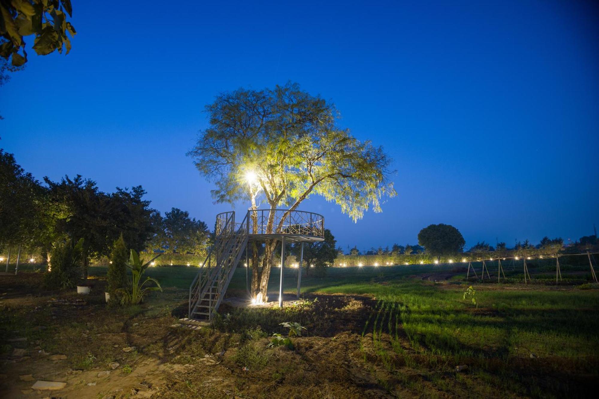 Dhauj Elivaas Hidden Oasis 4Bhk With Pool, Mud House & Container Houseヴィラ エクステリア 写真