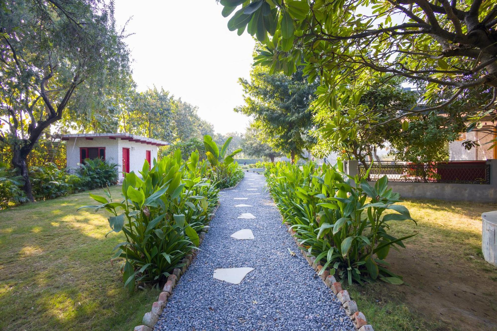 Dhauj Elivaas Hidden Oasis 4Bhk With Pool, Mud House & Container Houseヴィラ エクステリア 写真
